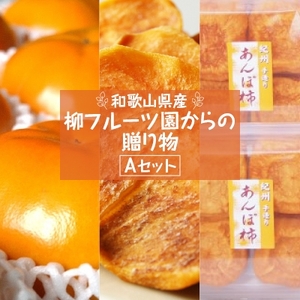 柳フルーツ園からの贈り物 Aセット_果物・フルーツ 柿（カキ）  かき  果物・フルーツ 干し柿 ドライフルーツ ほしがき ホシガキ_【1143953】