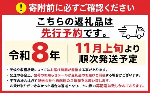 【2027年1月末まで発送してます♪♪】【訳あり】甘みが増す完熟 氷蔵保存 シャインマスカット約1 kg (2～3房) | シャイン ぶどう 葡萄 ブドウ くだもの 果物 フルーツ マスカット 氷蔵保存 先行 先行予約 長野県 塩尻市