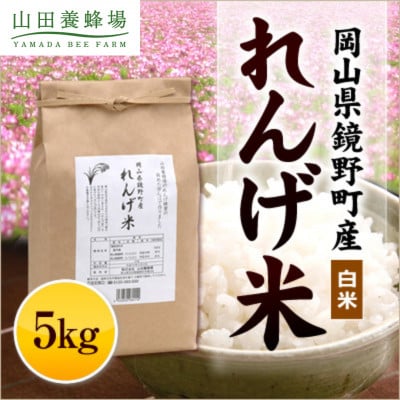 岡山県産　れんげ米(5kg入)(26552)【配送不可地域：離島・北海道・沖縄県】【1030490】