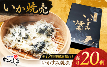 【全12回定期便】かべしまのいか焼売いかすみ焼売20個入り【呼子かべしま直売所】HCL044 いかしゅうまい焼売イカしゅうまいイカイカ焼売