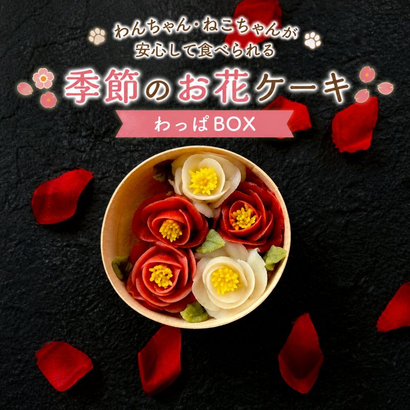 【ふるさと納税】ペット用 ケーキ カップケーキ わっぱ BOX 約150g わんちゃん・ねこちゃんが安心して食べられる季節のお花 | 誕生日 記念日 ミニカップケーキ 栃木県 矢板市