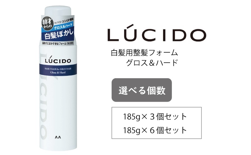 マンダム ルシード 白髪用整髪フォーム グロス＆ハード 185g MA-102