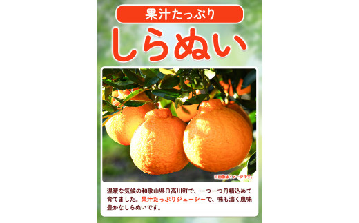 不知火(デコポンと同品種)しらぬい5kgどの坂果樹園《2月中旬-4月上旬頃出荷》しらぬいでこぽん果物フルーツ---wshg_245_g24_23_11000_5kg---