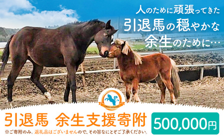 【返礼品なし】引退馬余生支援寄附 500,000円 一般社団法人オープンセサミアライブ 熊本県 南阿蘇村 馬 ウマ 支援 競走馬 引退馬 生活支援 動物愛護 保護 返礼品なし 寄附 牧場 オープンセサミ アニマルサンクチュアリ
