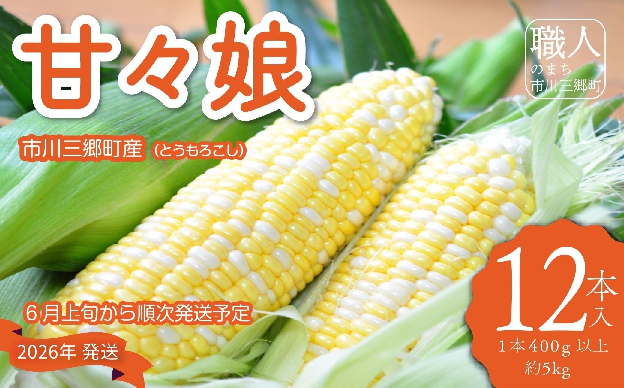 
            市川三郷町大塚産の甘々娘（とうもろこし）12本入り  【2026年6月上旬発送】　Kai Sweet Farm[5839-1011]
          