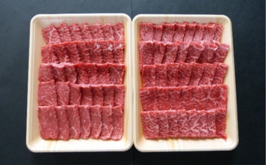 【６ヶ月定期便】A5等級飛騨牛 赤身肉 焼き肉用 1kｇ モモ又はカタ肉 2025/9/19～