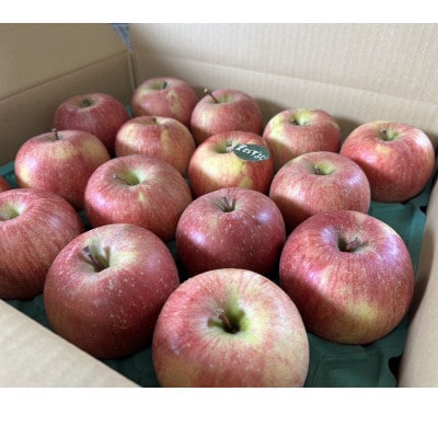 当園人気第1位!!【青森市産 完熟葉とらずふじ】　約5kg　16～23玉 (家庭用)【配送不可地域：離島・沖縄県】