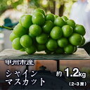 【ふるさと納税】 シャインマスカット 約1.2kg 2～3房 ぶどう フルーツ 果物 厳選 朝どれ 人気 新鮮 産地直送 贈答 ギフト 期間限定 数量限定 PlayestJapan 8月下旬～10月上旬 発送 2025年発送 社員マスカット 山梨県 甲州市 （PJ） 【B-188】