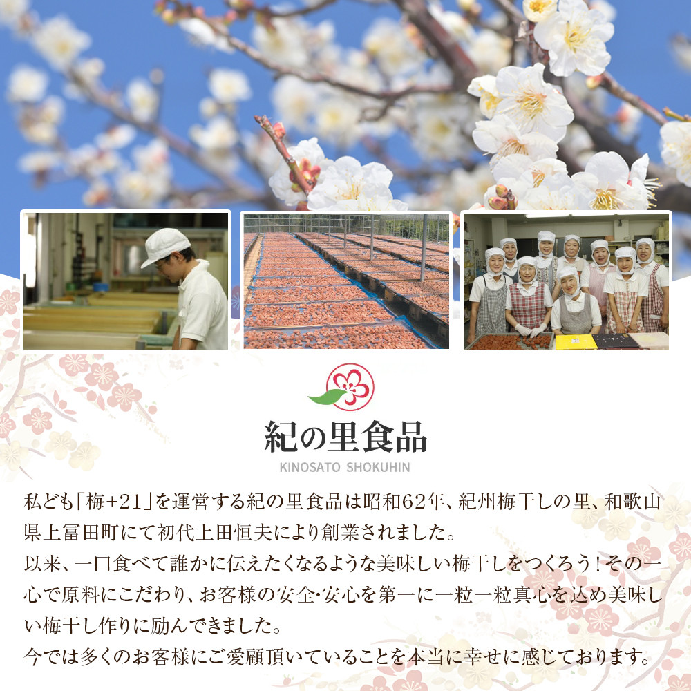 つぶれ梅　２種セット（３００g×２）【Kn13】　CQ013_イメージ4