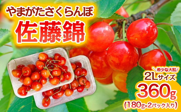 
                  やまがた さくらんぼ 佐藤錦 "希少な大粒" 2Lサイズ 360g(180g×2パック入り) 1箱【令和9年産先行予約】FS25-573 くだもの 果物 フルーツ 山形 山形県 山形市 2026年産
                