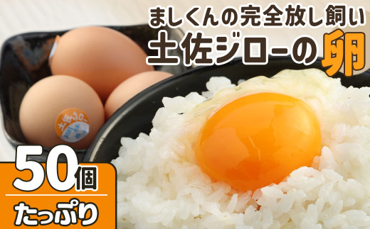 ましくんの完全放し飼い土佐ジローの卵　(25個入り×2箱)もみ殻梱包 ブランド卵 タマゴ 生卵 鶏卵 国産 地鶏 はなし飼い ご飯 美味しい 濃厚 朝食 ランチ グルメ 贅沢 送料無料【R00632】