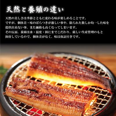 ふるさと納税 四万十市 【12回定期便】お楽しみ企画 12ヵ月連続<四万十食品>うなぎ蒲焼 ハーフ4袋/BC.R6-1058 |  | 02