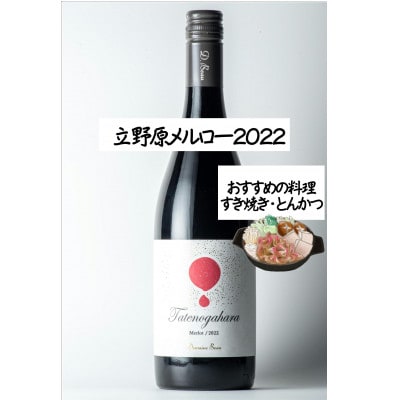 【ワインコンクール受賞】Domaine  Beau 「南砺市産のぶどう」立野原ワイン3本セット【配送不可地域：離島】