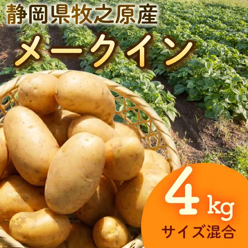 【先行予約 2027年3月順次発送 国産 じゃがいも】掘りたてメークイン 4kg  新じゃが  丸新柴本製茶 静岡 県 牧之原市