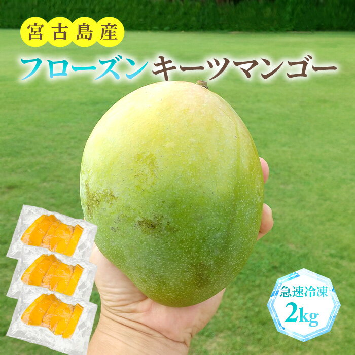 【ふるさと納税】フローズンキーツマンゴー 《急速冷凍》2kg（FU010）