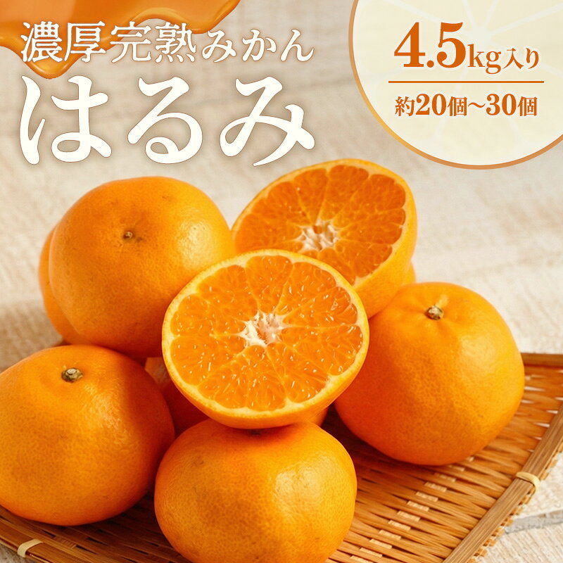【ふるさと納税】濃厚・完熟 みかん「はるみ」A品（ちょいきず） 果物類 柑橘類 フルーツ ミカン 柑橘 　お届け：2027年2月上旬～中旬