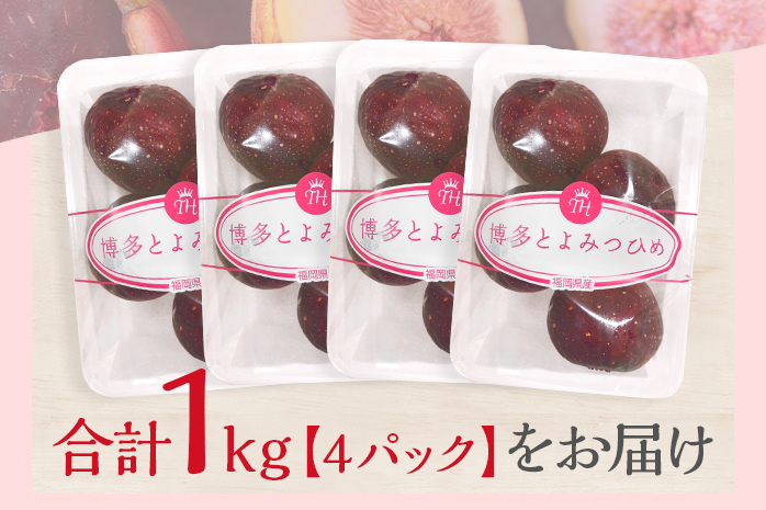 博多とよみつひめ 1,000g（４パック）【8月～10月に発送予定】 CD23