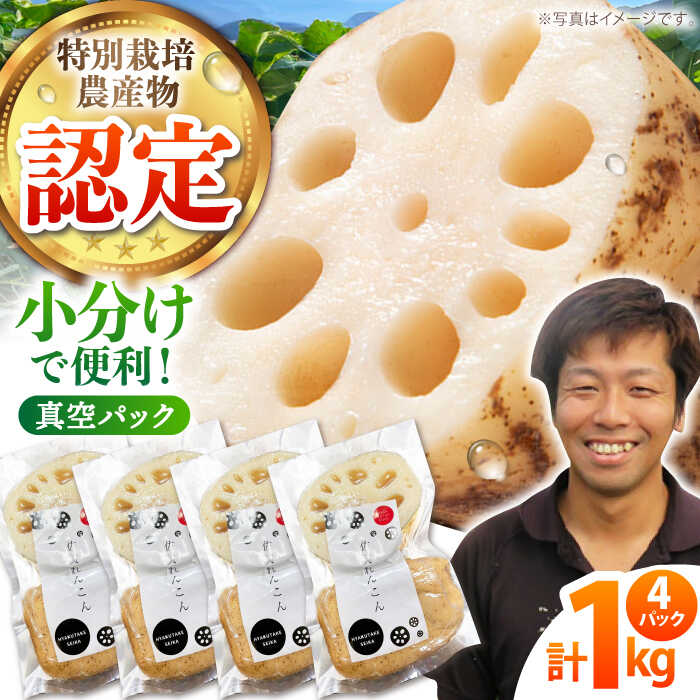 【ふるさと納税】【先行予約】地元江北町産 佐賀 れんこんパック 1kg ( 250g 4袋 ) 【百武青果】 [HAE013]