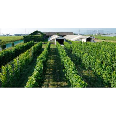 ふるさと納税 塩尻市 シャトー・メルシャン　片丘ヴィンヤード　750ml×1本 |  | 03