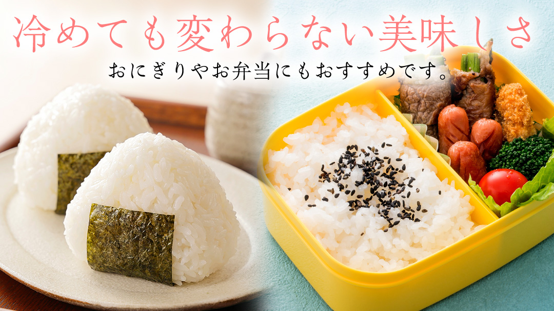 【 新米 】【6回定期便】お米 10kg (5kg×2) ( 総計60kg ) 白米 ひとめぼれ 特別栽培米 ★令和8年産★ 精米 米 おこめ ご飯 令和8年 特別栽培 仕送り お弁当  5キロ 10キロ 定期便 定期 コメ 岩手県 紫波町産 [AD084]