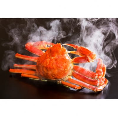 『鳥取の冬の味覚の王者』(ボイル)松葉がに　2枚　【2025年1月以降順次発送】【配送不可地域：離島・北海道・沖縄県・東北・関東・信越、北陸・東海・九州】