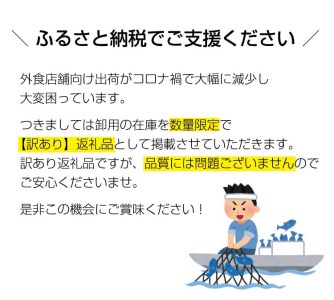 【訳あり】じゃばら鮪希少部位三点セット約600g【串本町×北山村】【nks201】