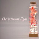 【ふるさと納税】Herbarium Light 照明 ライト 小物 アンティーク調