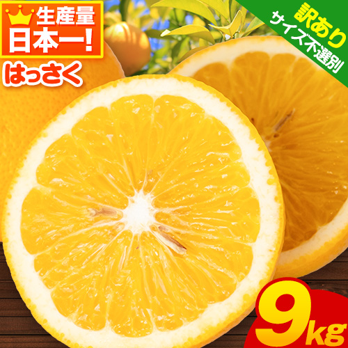 【訳あり/サイズ不選別】＜先行予約＞はっさく 約9kg (4L～Sサイズ)早生・晩生指定不可《2026年2月上旬-3月中旬頃出荷》和歌山県 紀の川市 産地直送 みかん 八朔 柑橘 果物 フルーツ ご家庭用 ビタミンC たっぷり 10000円