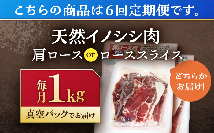 【6回定期便】ジビエ 天然イノシシ肉 肩ロース ＆ ロース スライス1kg【照本食肉加工所】 [OAJ059]