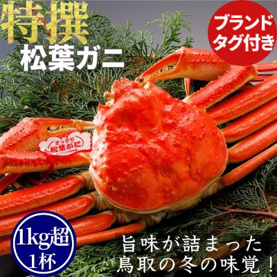 ふるさと納税 八頭町 【ボイル】特撰 松葉がに(タグ付き)1kg超の大きいサイズ　特大1杯