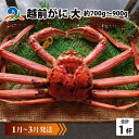 【ふるさと納税】越前がに 大 (約700g～900g)×1杯【1月～3月発送】 / 雄 ズワイガニ ずわいがに ズワイ蟹 越前ガニ ボイル 冷蔵 南越前町 送料無料