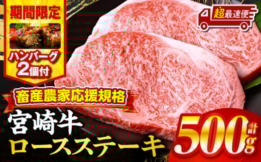 【超最速便】【期間・数量限定】畜産農家応援！宮崎牛ロースステーキ250g×2・国産牛ハンバーグ100g×2個_M132-014-B2-1W
