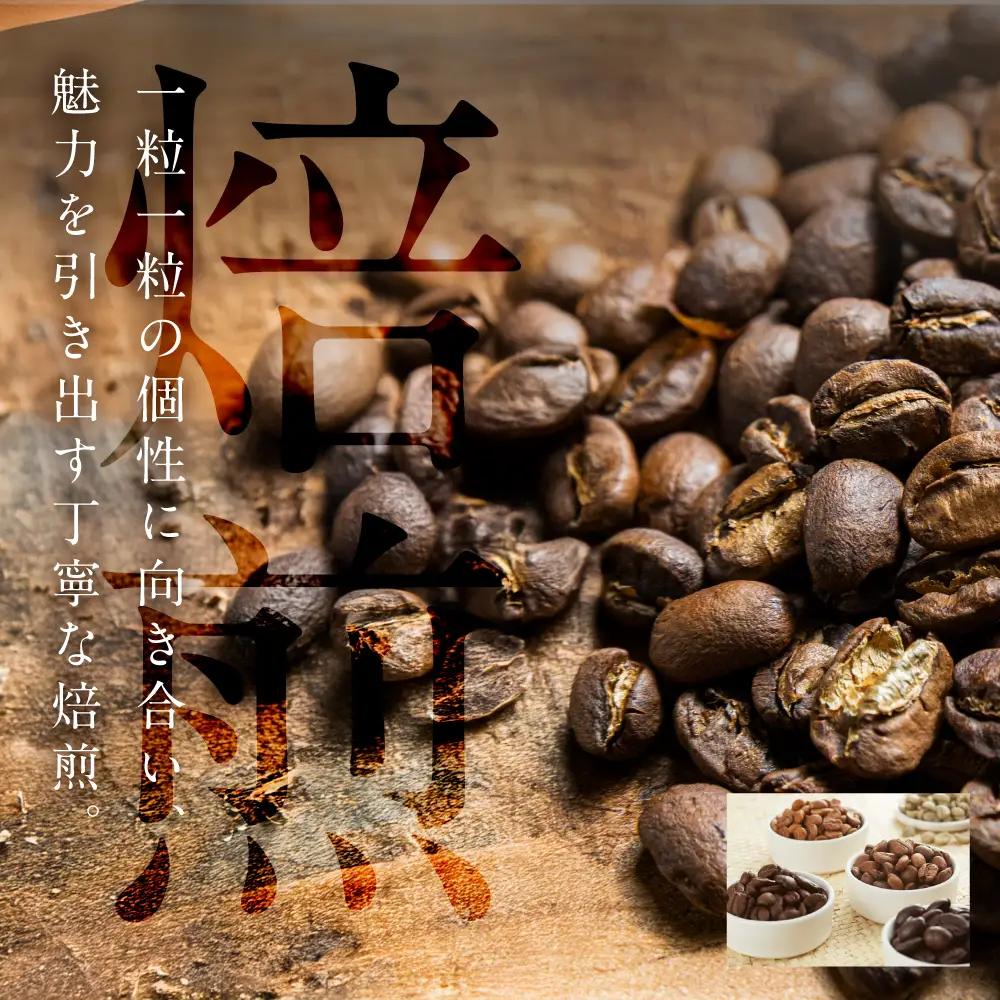 スペシャルティ 浅煎り/豆 300g 3種 コーヒー