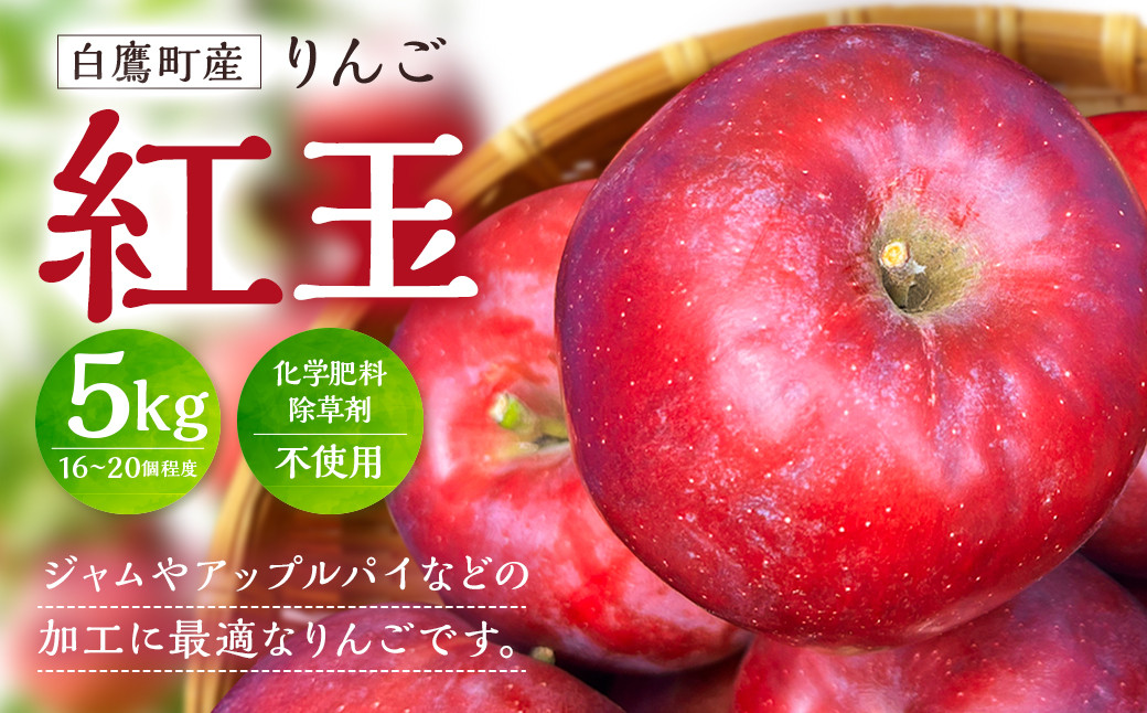 
            白鷹町産りんご （紅玉） 5kg りんご 林檎 果物 くだもの フルーツ 旬 紅玉 国産 山形県 白鷹町 【2025年9月下旬～10月上旬発送予定】
          