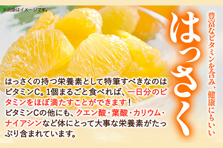 はっさく 八朔 【訳あり/サイズ不選別 】はっさく 約9kg (4L~Sサイズ)早生･晩生指定不可 《2024年2月上旬-4月中旬頃より順次出荷》和歌山県 紀の川市 産地直送 みかん 八朔 柑橘 果物