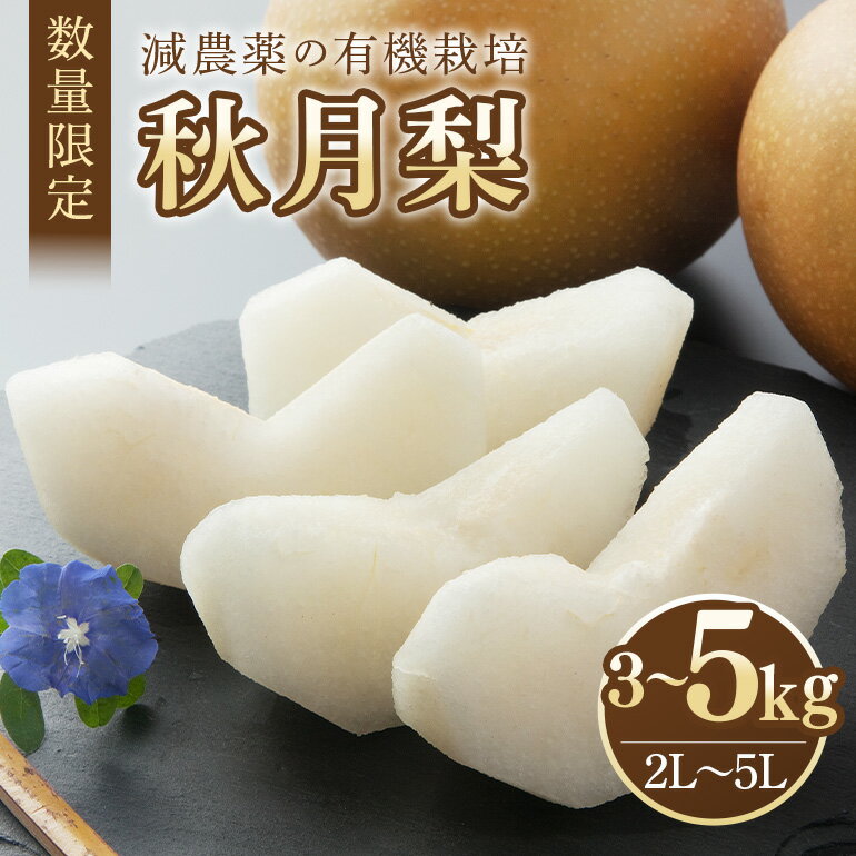 【ふるさと納税】 数量限定 2025年 先行予約 梨 秋月 選べる内容量 3kg～5kg (3kg 2L～5L 6～9玉 / 5kg 2L～5L 11～16玉) なし ナシ あきづき アキヅキ 果物 フルーツ 国産 【9月10日～10月末発送予定】 70-SKU-A