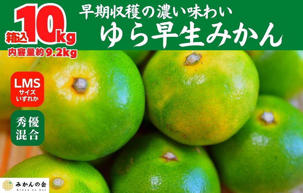 ゆら早生 みかん 箱入 10kg (内容量 9.2kg)  SMLサイズのいずれか 秀品 優品 混合 有田みかん 和歌山県産 【みかんの会】