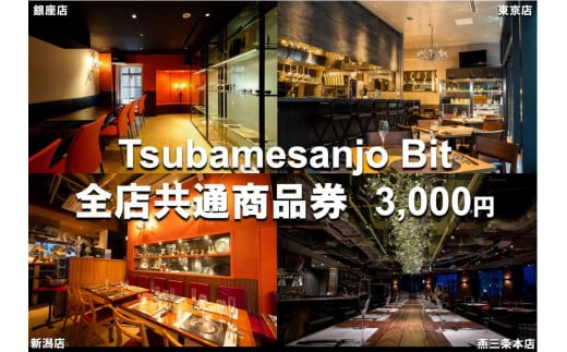 
Tsubamesanjo Bit 商品券3,000円 FC010149
