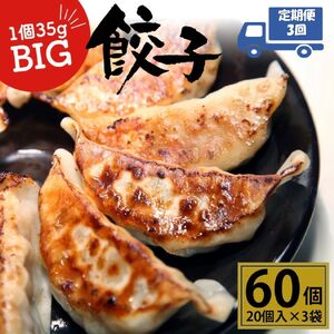 【定期便3回】たじまやオリジナルビッグ餃子 60個