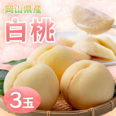 岡山県産白桃　3玉・約800g(クール便)【配送不可地域：離島】