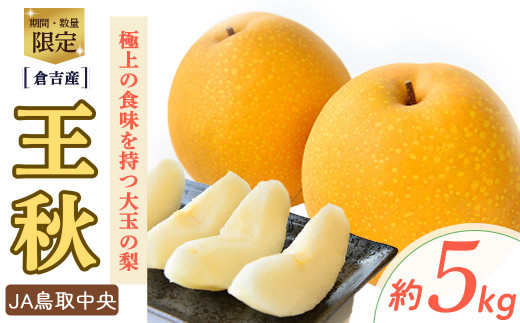 
                  王秋 【倉吉産】5kg（JA鳥取中央） 梨 なし ナシ おうしゅう 王秋 ブランド梨 鳥取 5kg 果物 フルーツ 和梨 先行予約 数量限定 詰め合わせ 人気 甘い
                