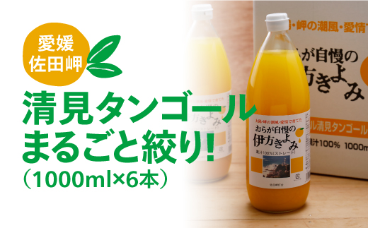 
【愛媛県産】おらが自慢の伊方きよみジュース（1000ml×6本） ストレート果汁100％ ◇
