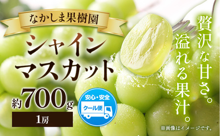 シャインマスカット 約700g （ 1房 ） マスカット ぶどう 葡萄 フルーツ 果物 旬 なかしま果樹園 《8月下旬-9月末頃出荷》 熊本県 荒尾市 ギフト 美味しいシャインマスカット 旬のシャインマスカット ジューシーシャインマスカット フルーツシャインマスカット