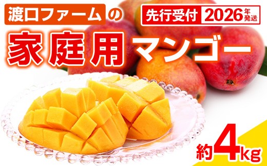 
            【先行受付】【2026年発送】渡口ファームの家庭用マンゴー約4kg - 先行予約 沖縄 産地直送 南国フルーツ 旬の味覚 家庭用 ご自宅用 大容量 4キロ オススメ 沖縄県 八重瀬町
          