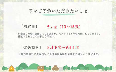 梨 新甘泉 二十世紀梨 食べ比べ 5kg (生橋農園)  鳥取県産