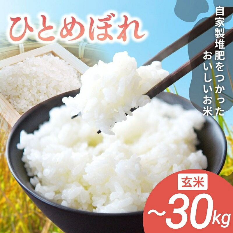 【ふるさと納税】 【 先行予約 】 令和8年産 宮城県涌谷町産 ひとめぼれ 10kg / 30kg 玄米 ※2026年11月上旬以降に順次発送 | 米 お米 こめ コメ 玄米 ご飯 ライス 産地直送 数量限定 ブランド米 宮城県産 送料無料