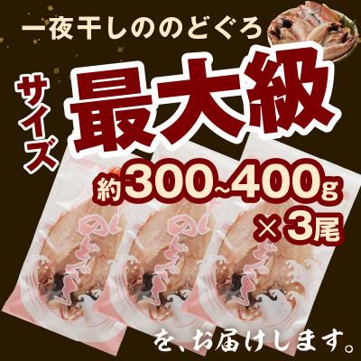 ふるさと納税 浜田市 【2025年11月下旬発送】大秀商店の「干しのどぐろ(300g〜400g)」個包装3尾入り |  | 01