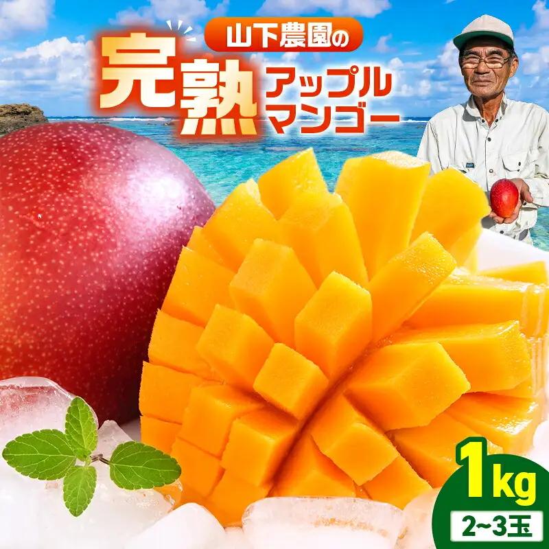 【 2027年 先行予約 】 甘い香り の 贈り物 ！ 山下農園 の 完熟アップルマンゴー 1kg （ 2～3玉 ） W063-003-01 期間限定 果物 マンゴー