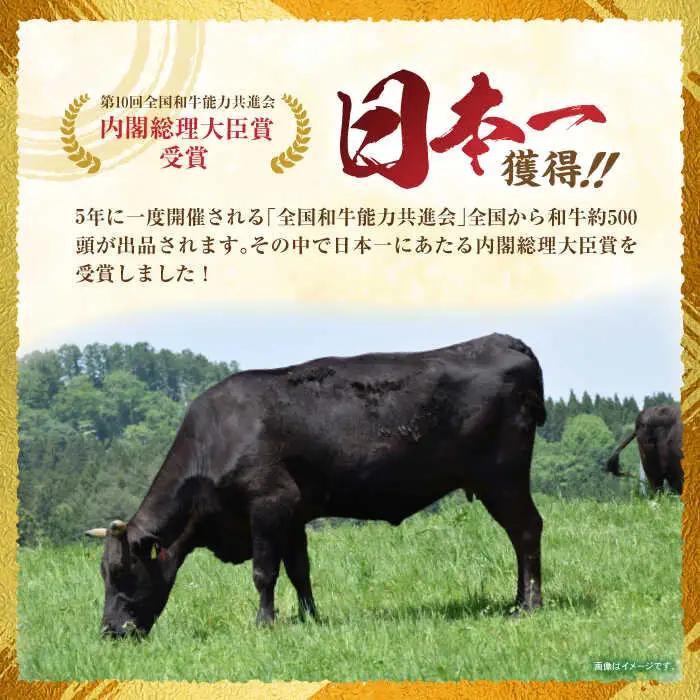 長崎和牛 切り落とし 300g×2パック /長崎県産 長崎和牛 牛肉 和牛 牛 切り落とし / 諫早市 / 有限会社長崎フードサービス [AHDD001]