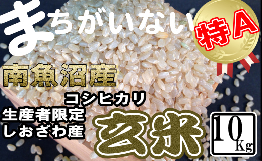 【令和8年産　新米予約】玄米 生産者限定 南魚沼しおざわ産コシヒカリ10Kg【銘柄米 ブランド米 玄米 こしひかり コシヒカリ 魚沼産 新潟米 産地直送 お米 米 こめ コメ ご飯 御飯 ごはん】【2026年10月上旬より1ヶ月以内に順次発送予定】
